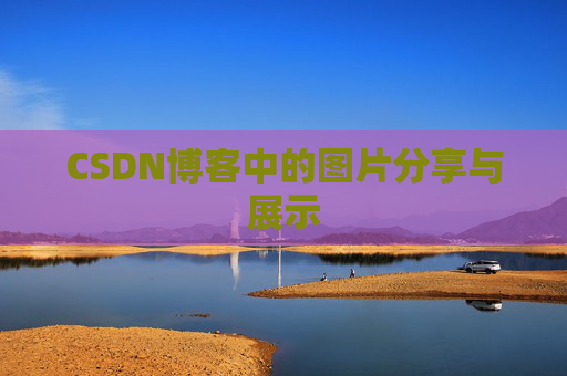 CSDN博客中的图片分享与展示
